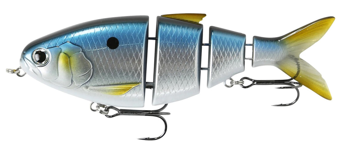 fish-lab-bio-shad-gizzard-