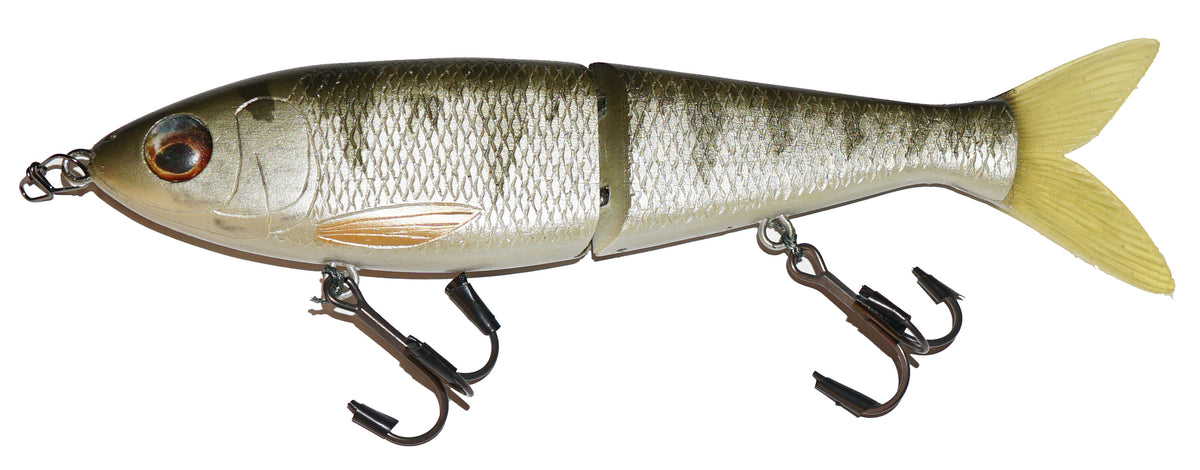 mm26-7-herring-glide-