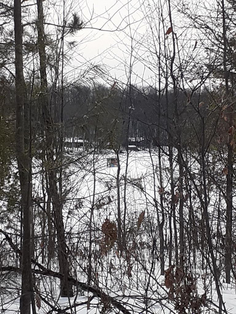 North Woods Fishing Report: Early March