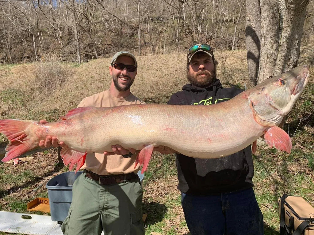 West Virginia State Record Smashed by 51lb Musky