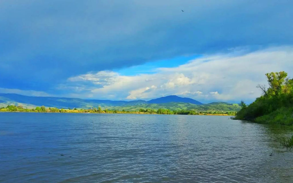 Chasing Trophy Tigers: A Deep Dive into Pineview Reservoir's Musky Magic