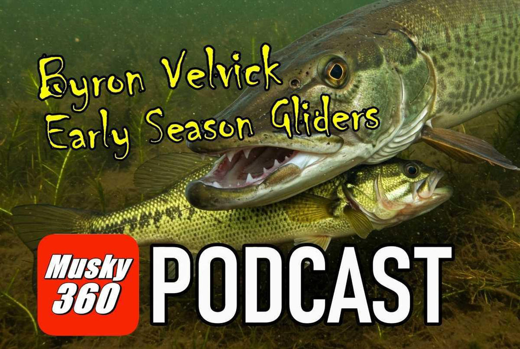 MUSKY 360 PODCAST Episode 279: Byron Velvick: Early Season Glide Baits