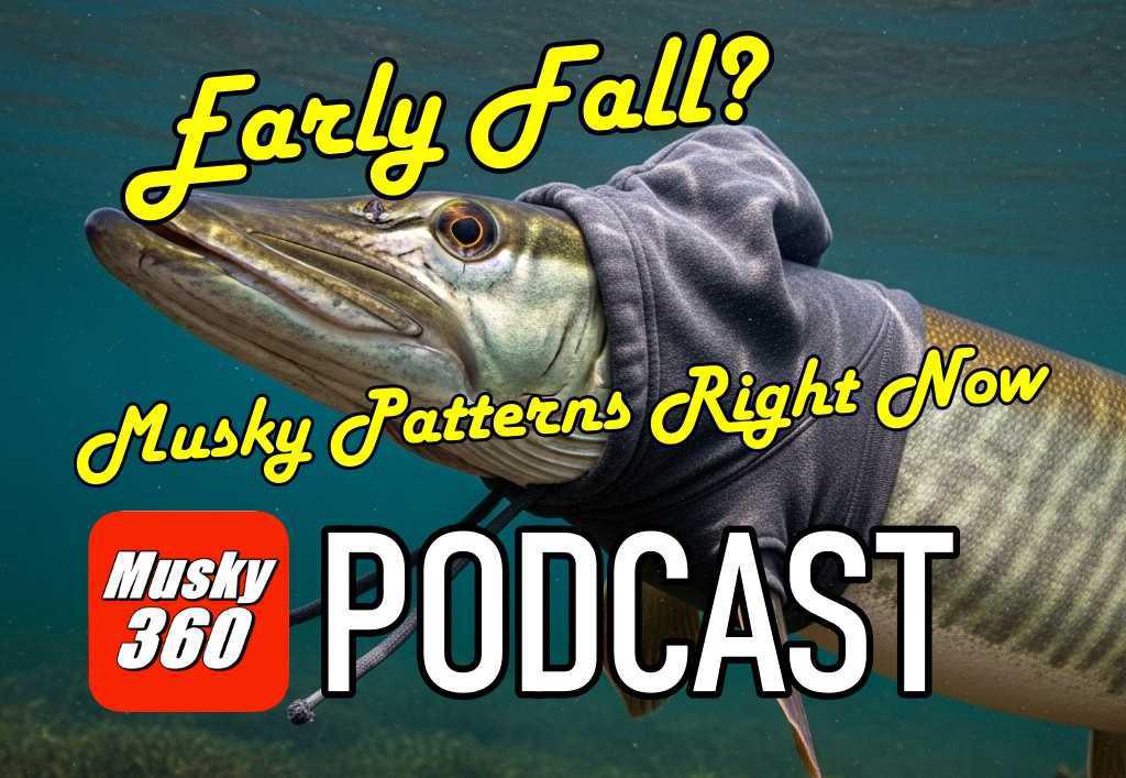 MUSKY 360 PODCAST Episode 298: Early Fall and Musky Patterns Right Now