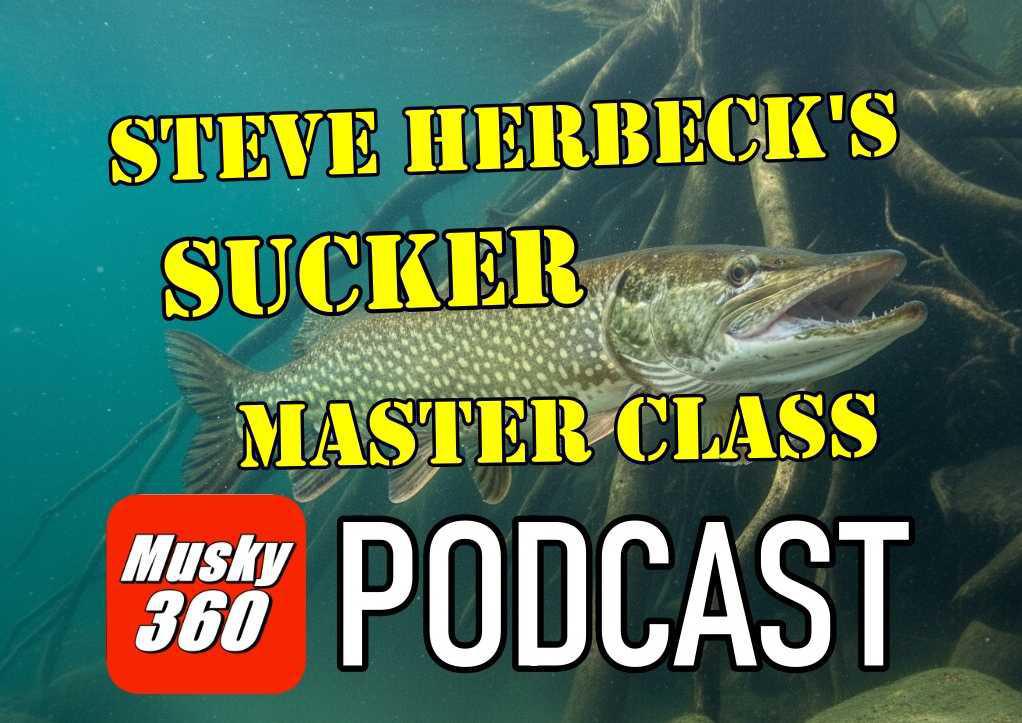MUSKY 360 PODCAST Episode 306: Steve Herbeck's Sucker Master Class