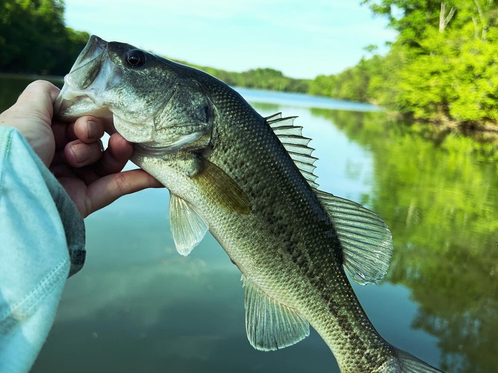 Musky Shop Northwoods Fishing Report: Early May