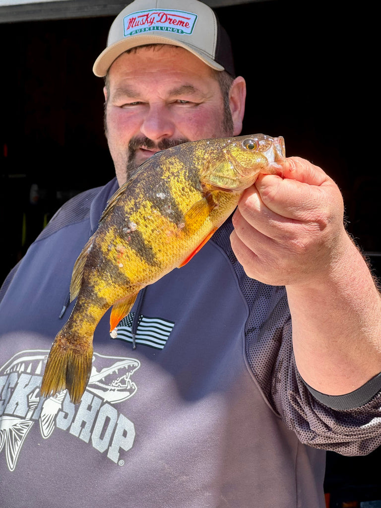 Musky Shop Northwoods Fishing Report: Early May