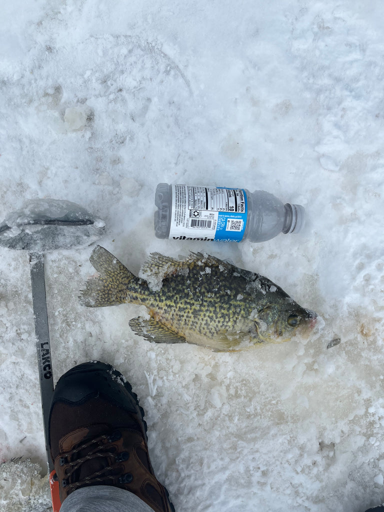Ice Fishing for Crappie: Tips and Techniques – Musky Shop