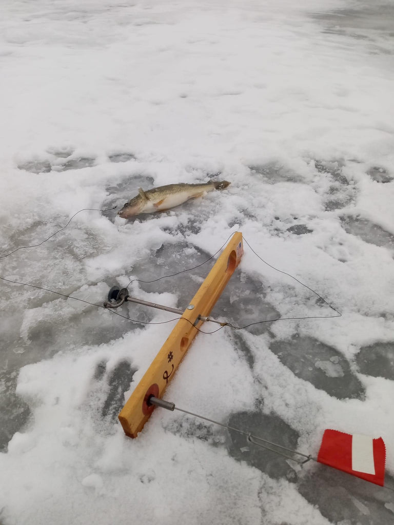 Northwood's Fishing Report: Early January
