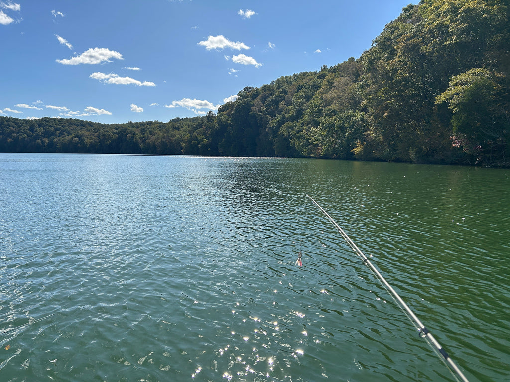 How Water Clarity Affects Musky Fishing Success