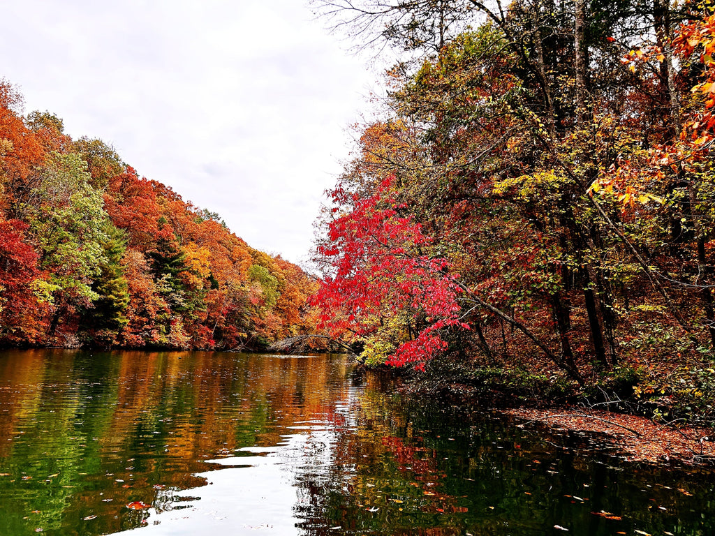 Fall Musky Fishing: Tips to Catch Trophy Muskellunge