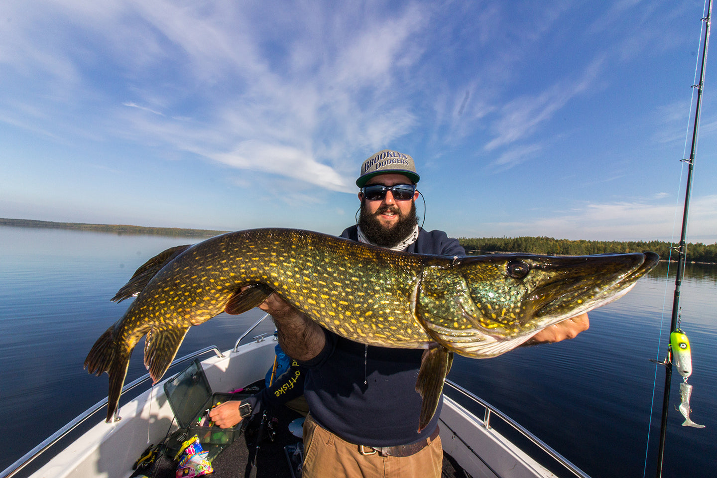 Muskie vs. Pike: All You Need to Know – Musky Shop