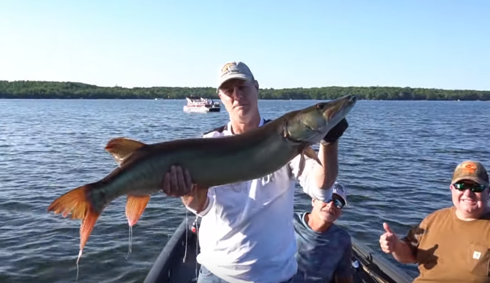 Musky Shop Blog - World's Largest Retailer of Musky Gear – Tagged