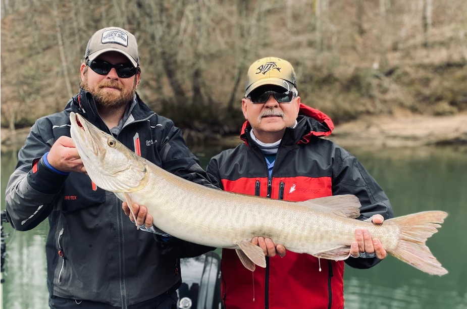 Southern Musky Winter Fishing with the Livingston Pounder