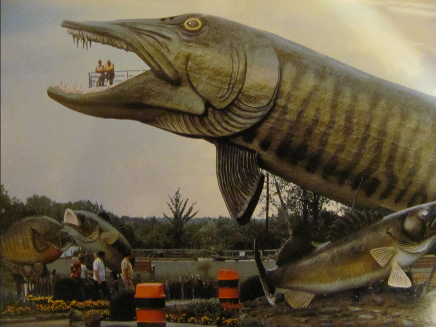 The Hayward Muskie from Jerry Vettrus