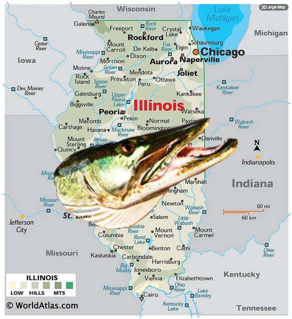 Best Illinois Fishing Spots For Muskie – Musky Shop
