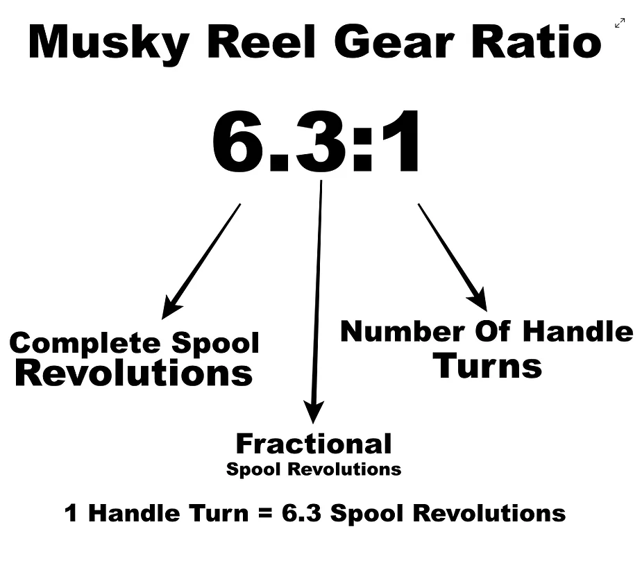 Musky Reel Gear Ratio Explained  Musky Shop