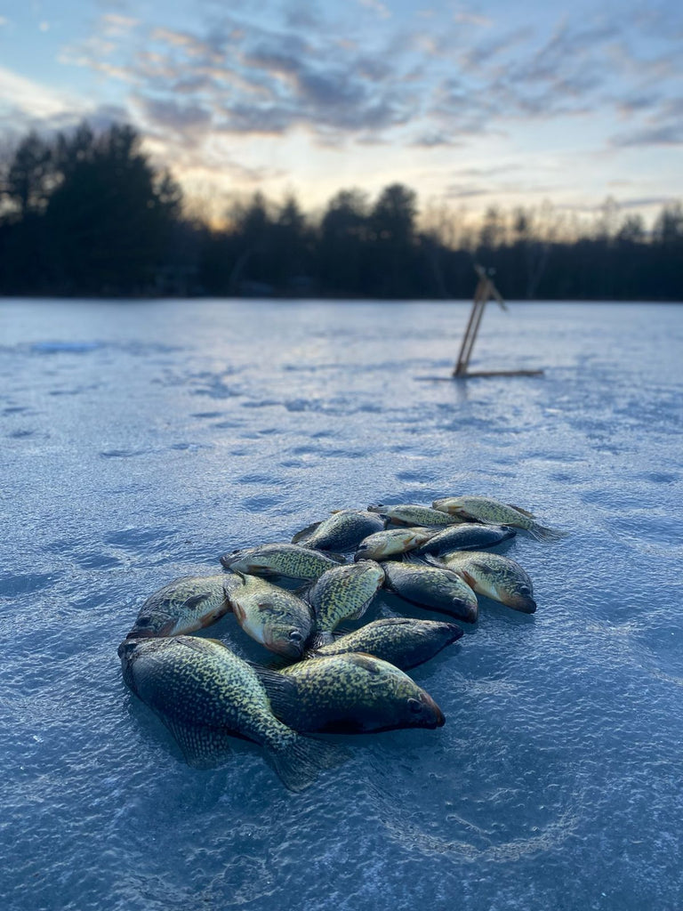 Crappie Ice Fishing