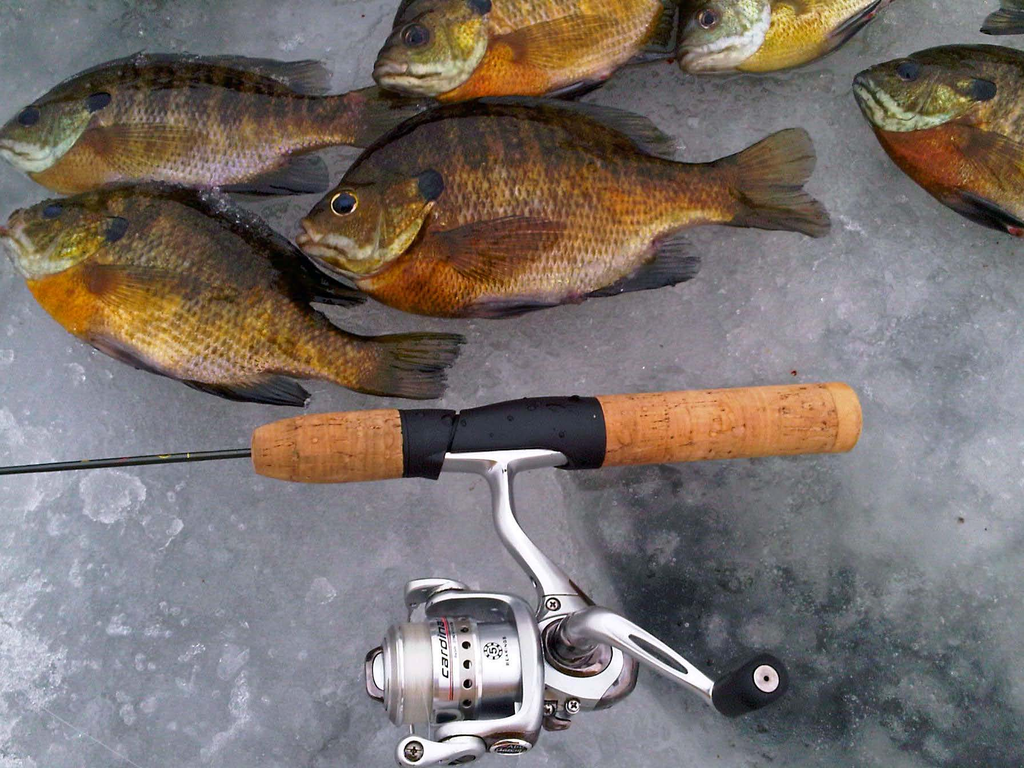 Ice Up: Adding to your Ice Fishing Tackle Box