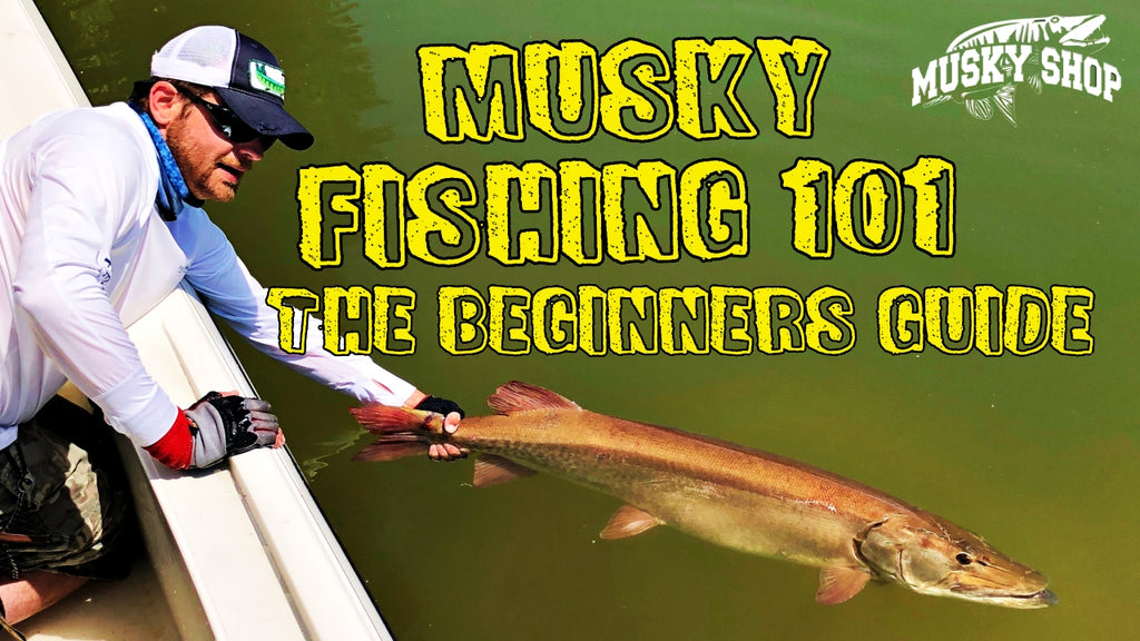 Musky Fishing 101 with Steve Paul