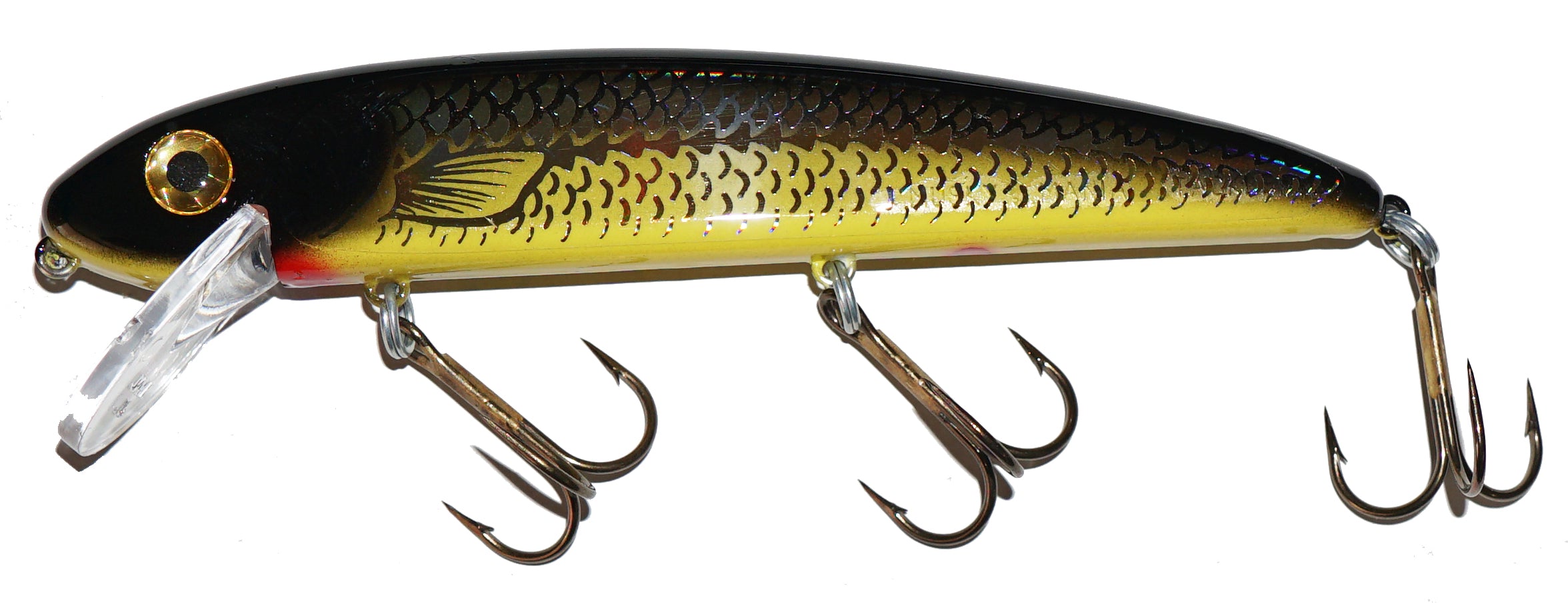 drifter tackle box Musky Mania Jake Holoform Golden Shiner; 6 in