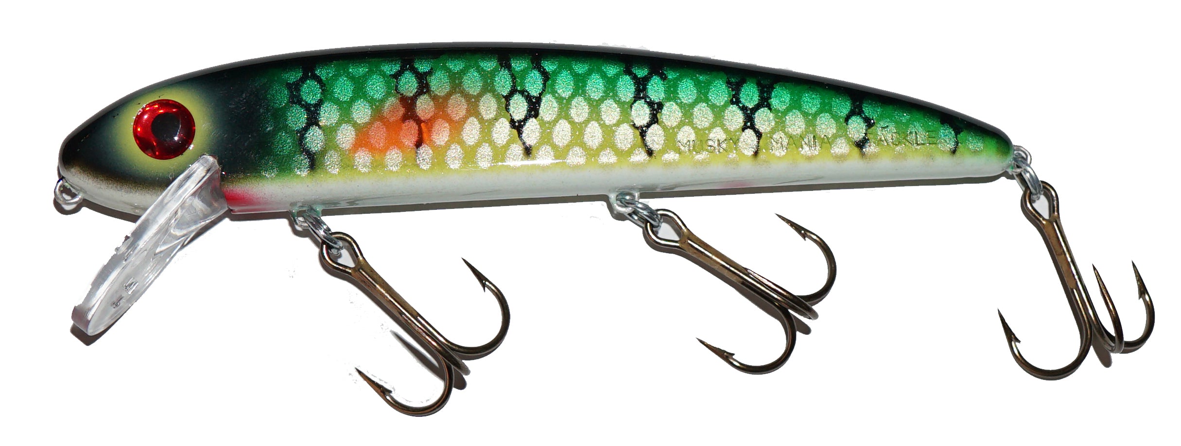 Musky Mania Jake Perch; 6 in.