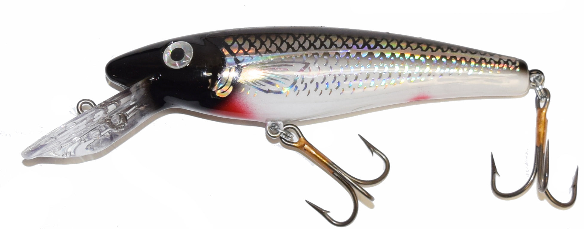 easyngenius fishing lure Musky Mania Li'l Ernie Holoform Silver Shiner; 6 in and a tough and What color Rattle Trap 5/8