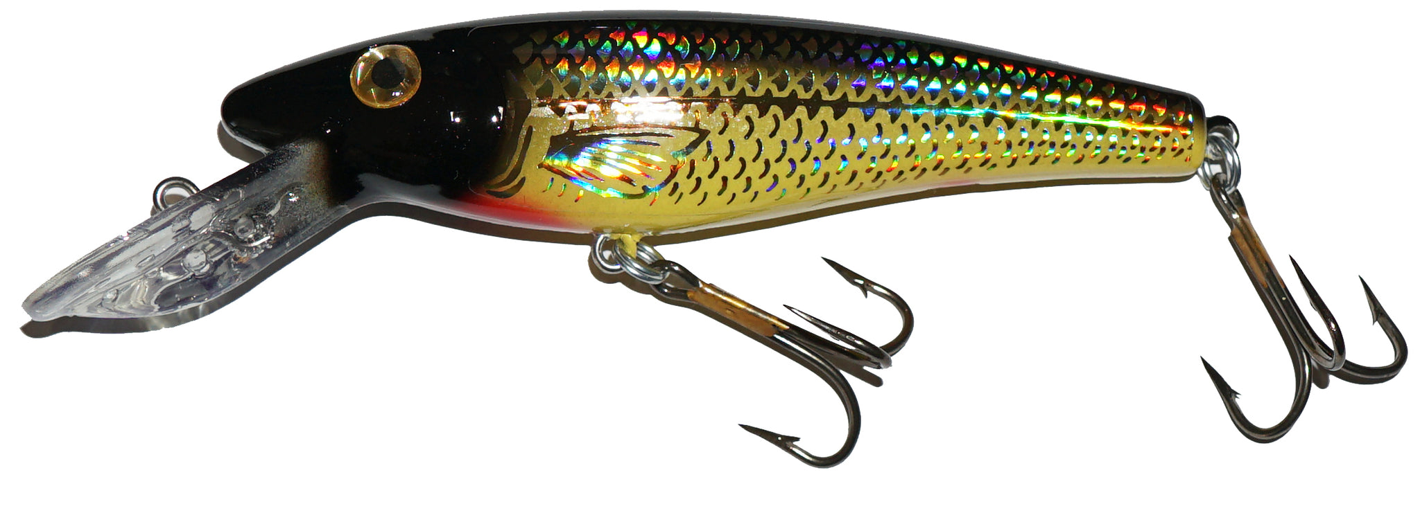 adventure capitalist fishing lure Musky Mania Lil' Ernie, Holoform Gold Shiner