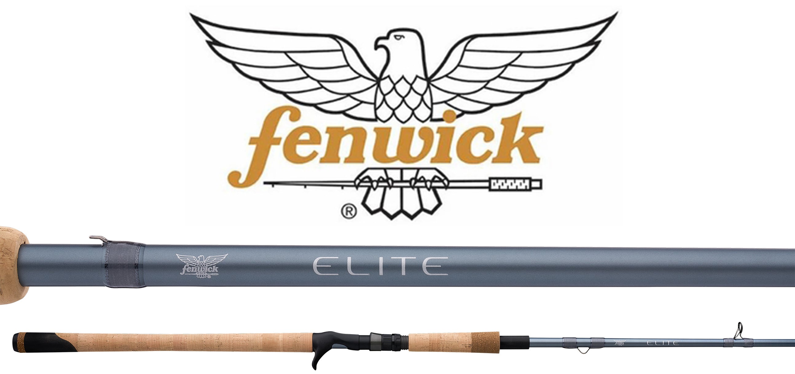 Fenwick Elite Predator Casting Rod