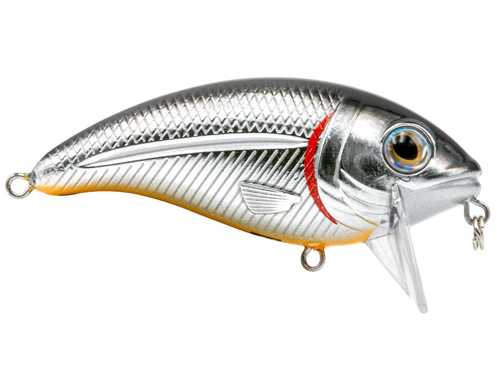 bullnose fishing lure Livingston Lures Bull Nose Lure Black Back Chrome Shad 10505
