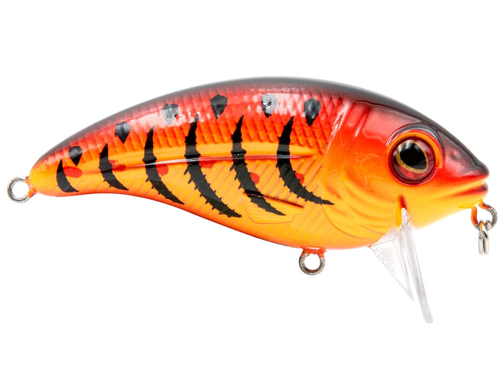 bullnose fishing lure MONSTERBASS Bull Nose SW Pinfish 2 4Action MONSTERBASS Bull Nose SW Baby