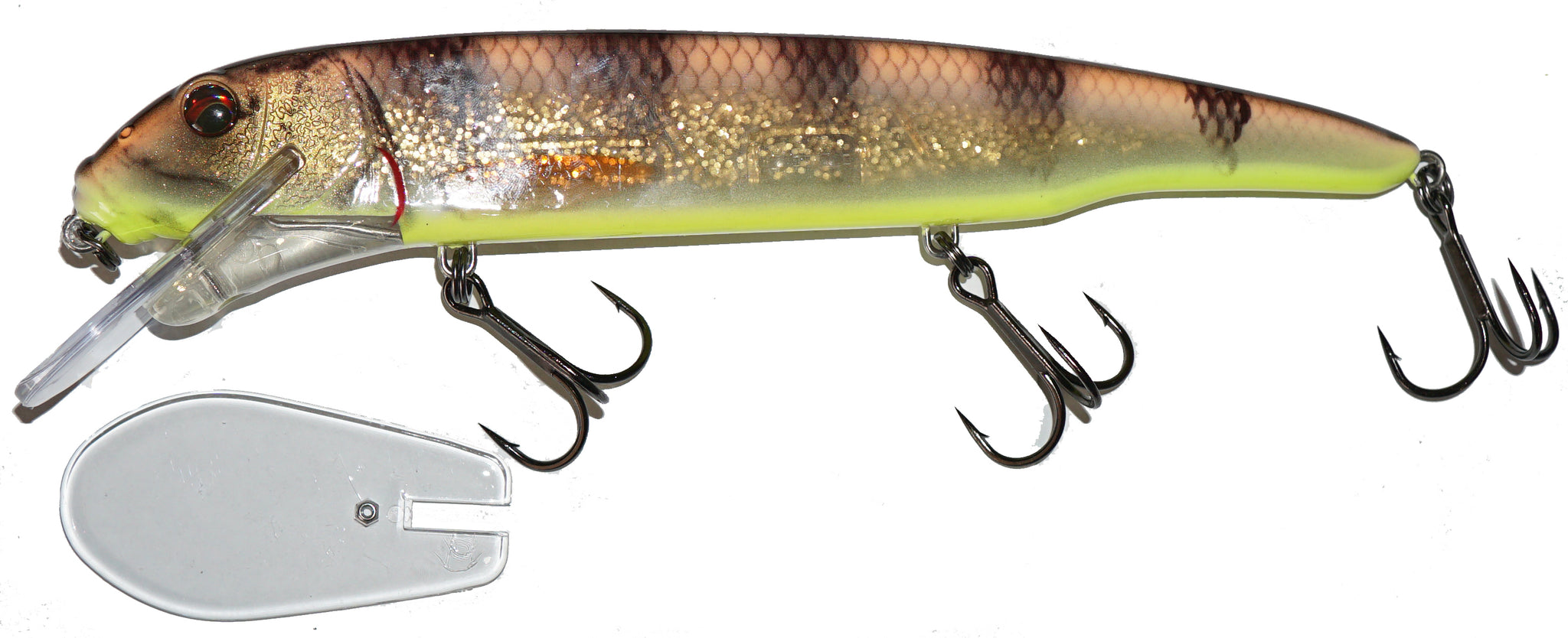 Sucker Flanker Orange Tiger Glitter / 11 in