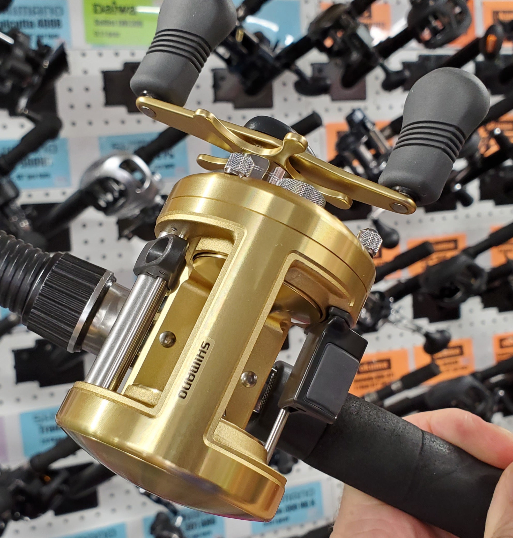 Shimano Calcutta 400 B Reel – Musky Shop