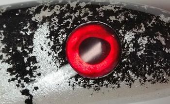 Stinson Real Eyes