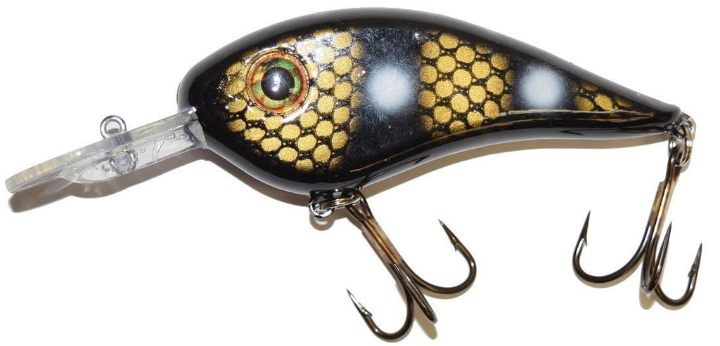 Llungen Chad Shad