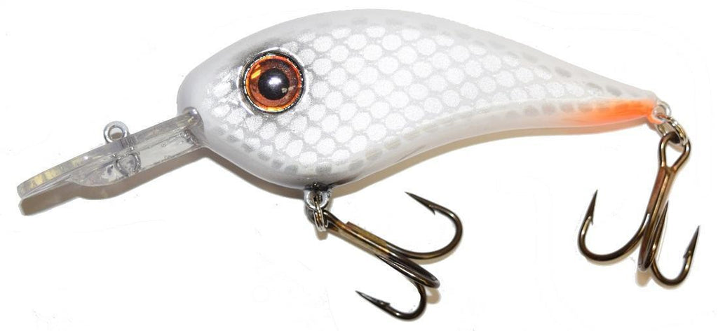 Llungen Chad Shad