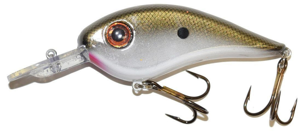 Llungen Chad Shad