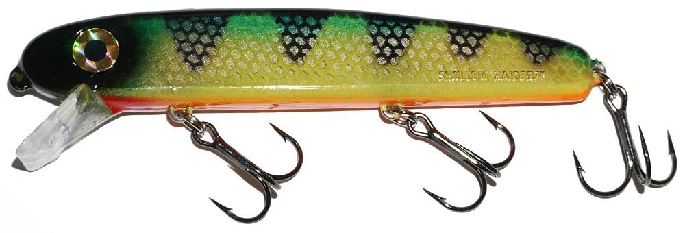 Bucher 5"  ShallowRaider