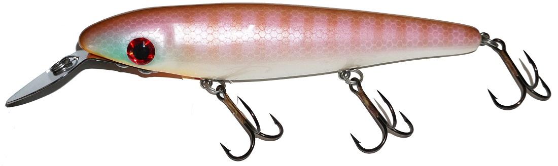 Big Fork Reef Digger Mid Range Crankbait Straight Model Midnight Gold