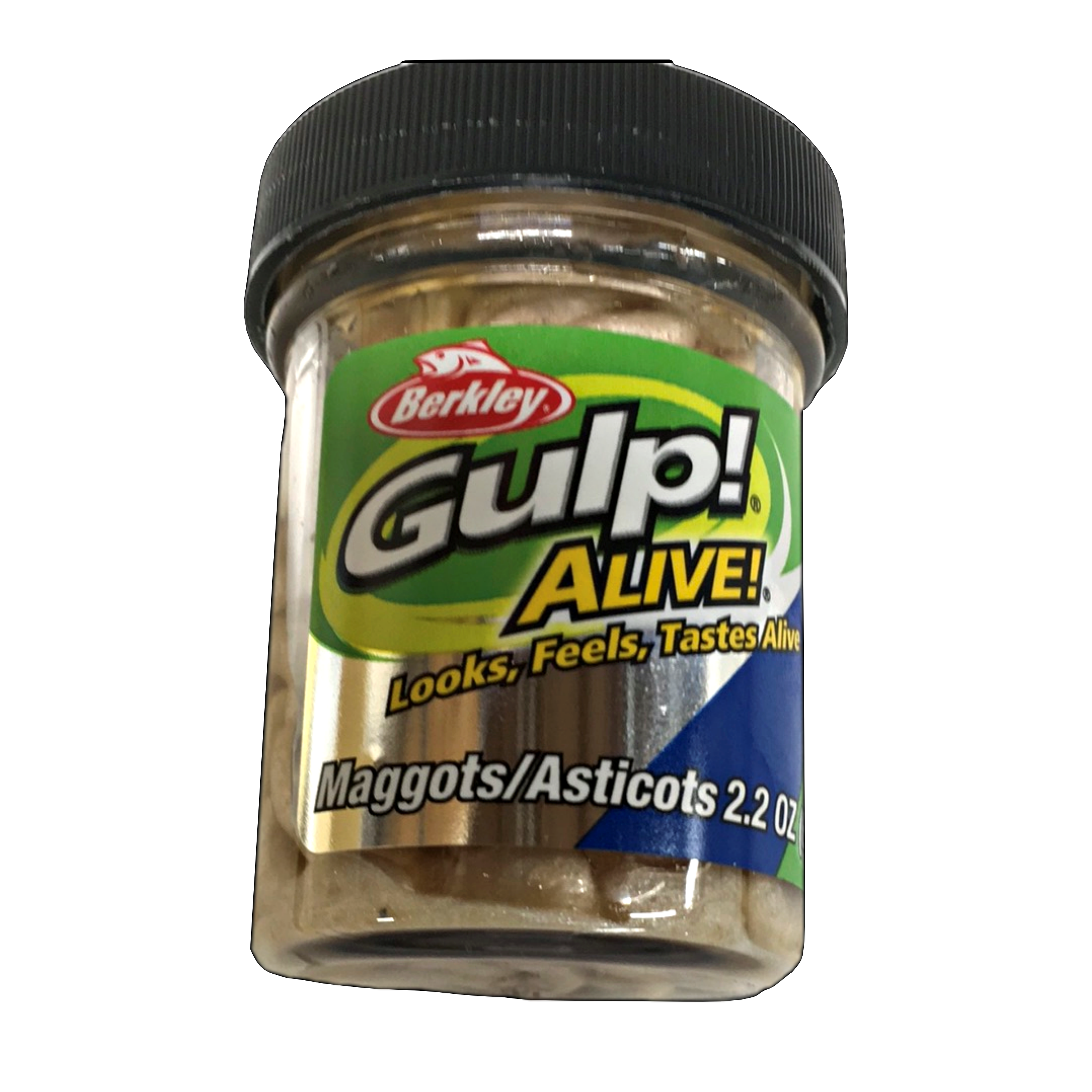 Gulp Alive White Maggot Jar – Musky Shop