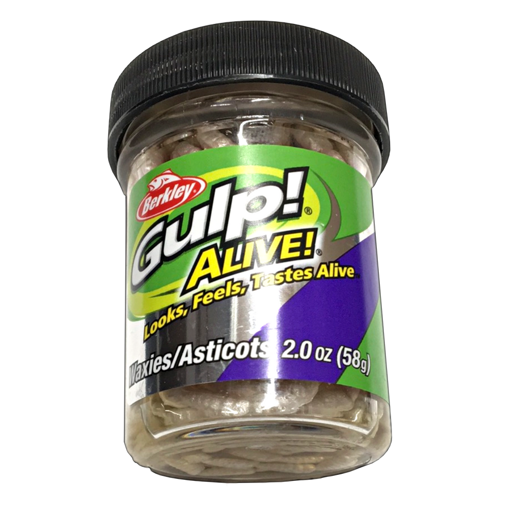 Gulp Alive Jar Waxies – Musky Shop