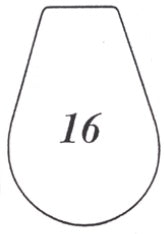 Clear Polycarbonate Lips