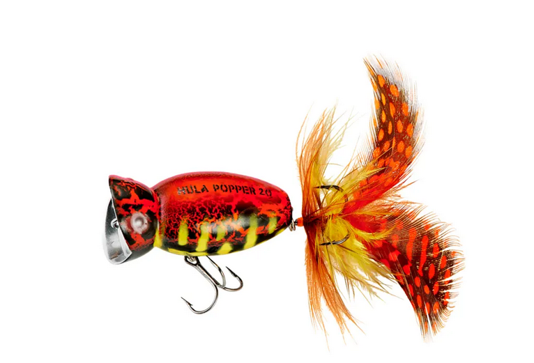 Arbogast Hula Popper 2.0 Coach Hog