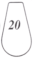 Clear Polycarbonate Lips