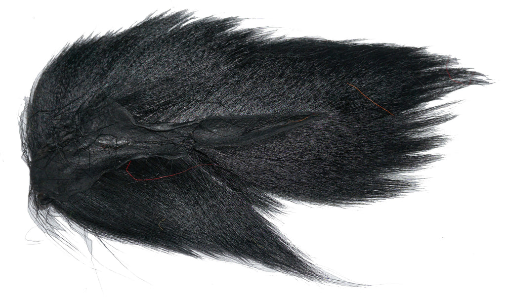 Northern Deer Tails