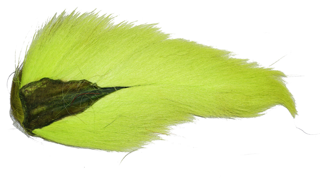 Northern Deer Tails