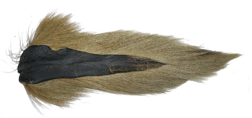 Northern Deer Tails