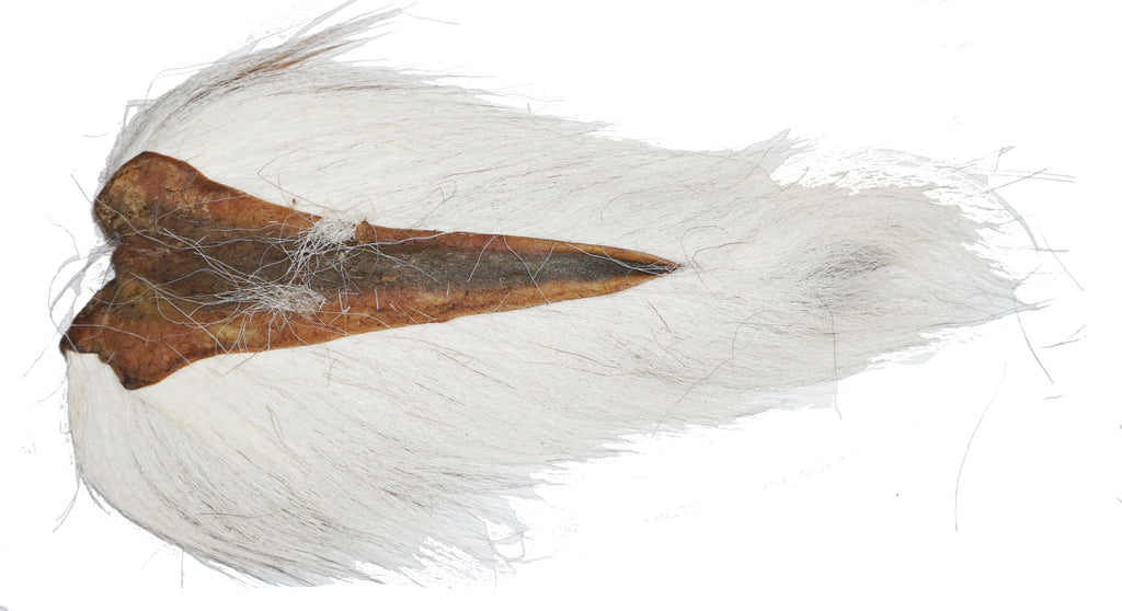 Northern Deer Tails