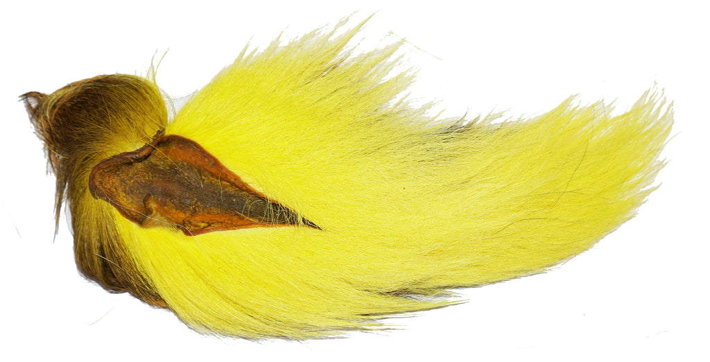 Northern Deer Tails
