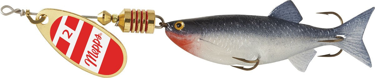 Mepps C5M G Comet Spinner - Gold Blade, Minnow Pattern